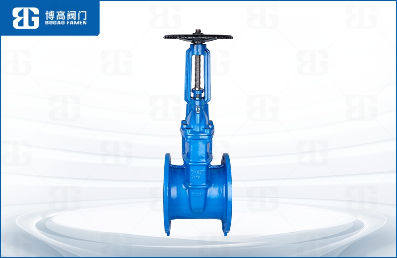 明杆彈性座(zuò)封閘閥